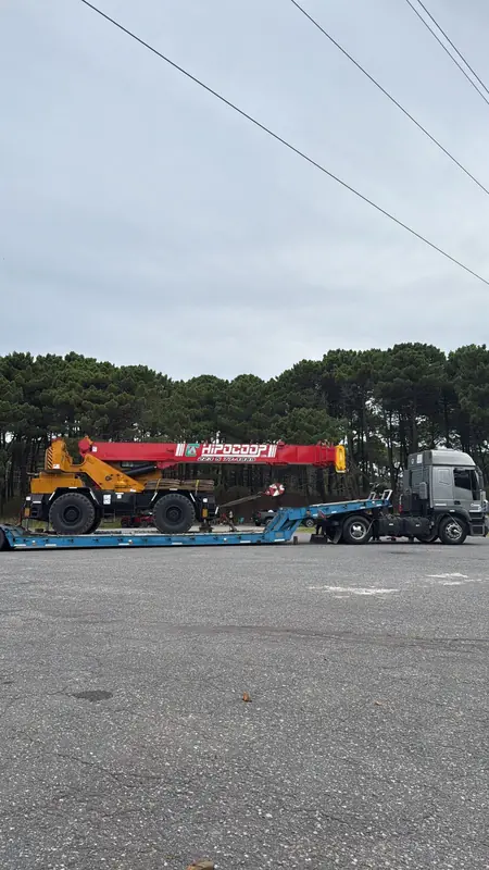 Carretón con máquina vial 6