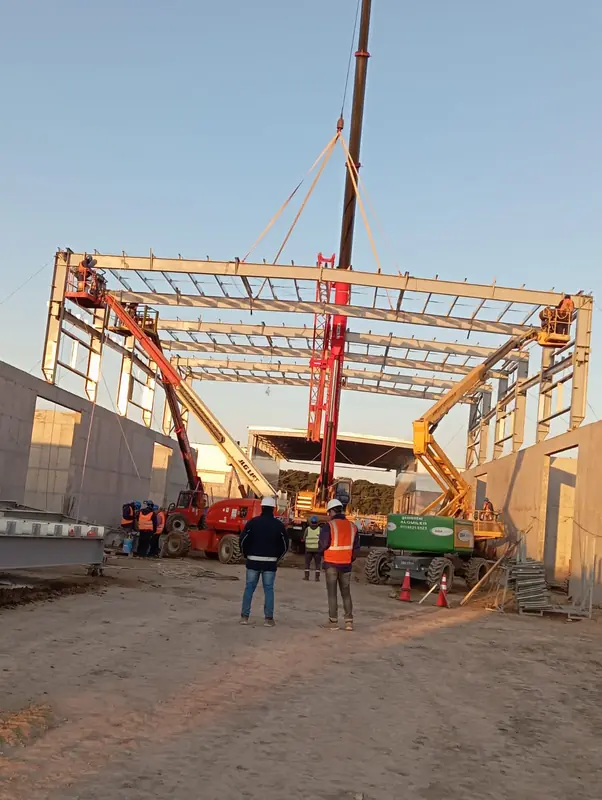 Plataforma elevada trabajando 6